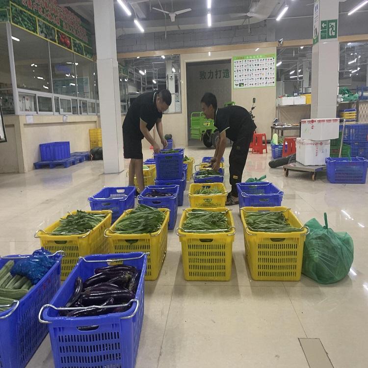 从田间到餐桌的绿色桥梁 探寻坑梓蔬菜配送与大型种植基地的产业脉动