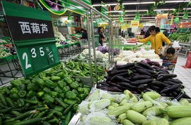 蔬菜价格连续三周下行 食用农产品市场供应稳定